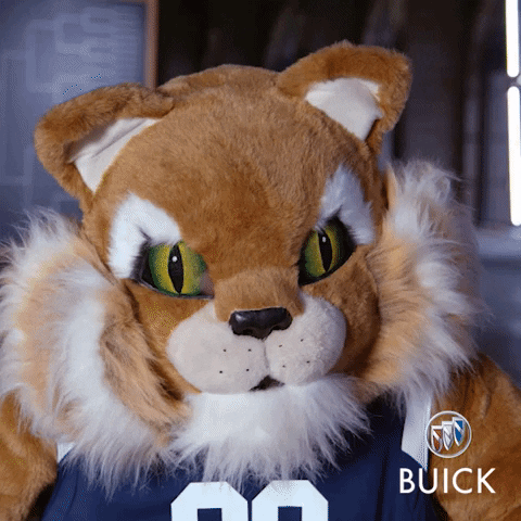 Mascot Not Adding Up GIF by Buick