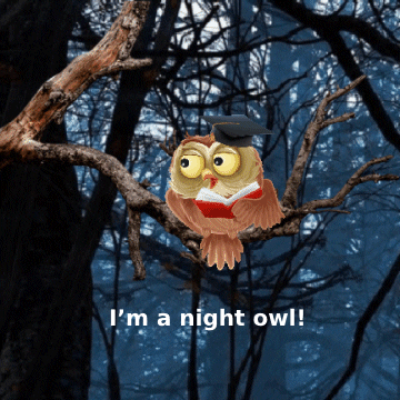Owl-cartoon GIFs - Get the best GIF on GIPHY