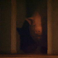 Fat-pig GIFs - Get the best GIF on GIPHY Fat-pig GIFs - Get the best GIF on GIPHY