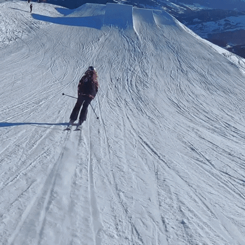 Kelly Sildaru Ski GIF by ROXY