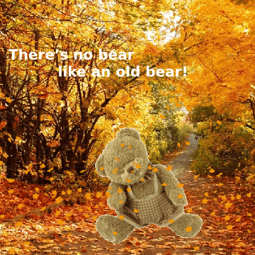 Teddy Bear Fall GIF
