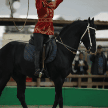 Etnospor GIF