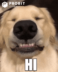 Anime-hi GIFs - Get the best GIF on GIPHY