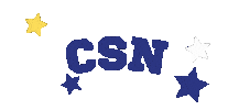 Community School Naples Sticker