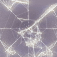 Spider Web Motion GIF by commotion.tv