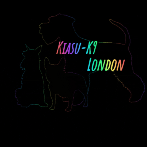 KK9DARA GIF