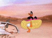 daffy duck robin hood gif