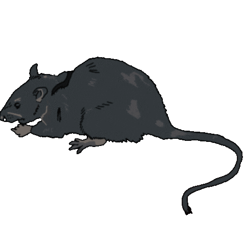 Source: Leofine Source: Leofine