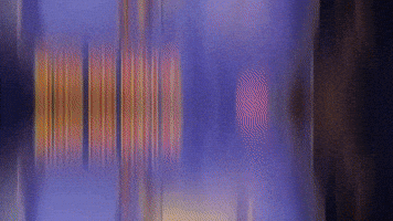 Flip Trick GIF by Ringling Bros. and Barnum & Bailey