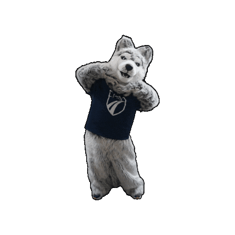 Madison College Sticker