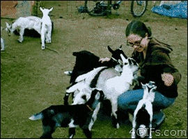 kids jump GIF kids jump GIF