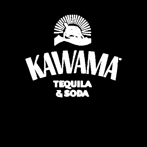 kawamausa party celebrate beach ocean GIF