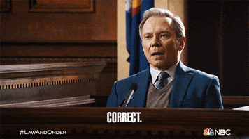 Episode 8 Reaction GIF by Law & Order