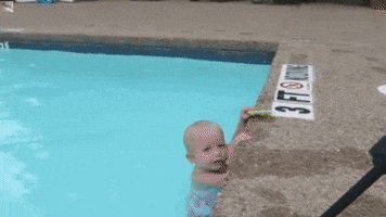 Funny Swimming GIFs - Find & Share on GIPHY