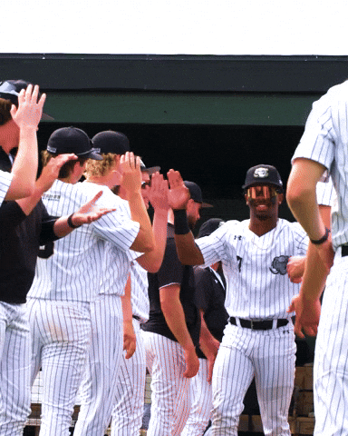 Baseball Dons GIF by Purdue Fort Wayne Athletics