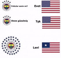 Galatasaray Yıldız GIF