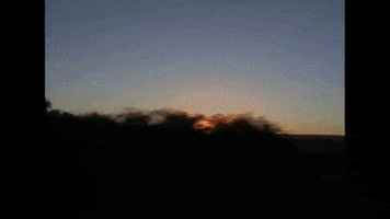 Sunset Driving GIF by Mallrat