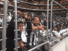 Liga Mx Rayados De Monterrey GIF