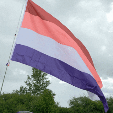 Pride Lgbt GIF by AceArchive