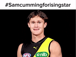 Richmond Tigers GIF