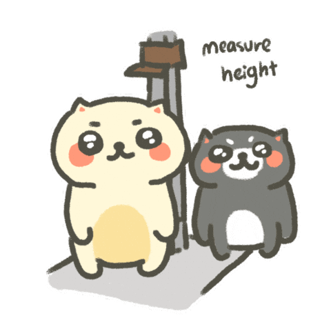 Body Size Cute Cat Sticker