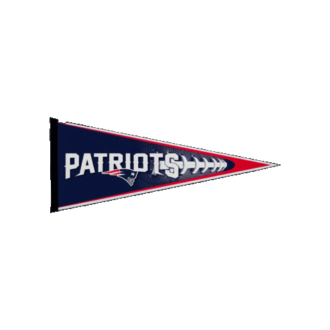 National Football League Sticker by New England Patriots