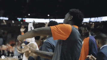Celebrate College Football GIF by Clemson Tigers