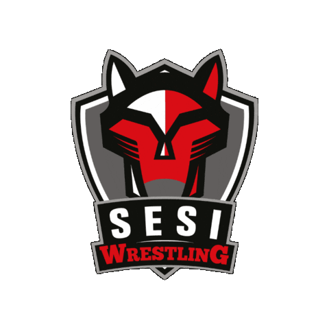 Sesispesporte Sticker by Sesi São Paulo