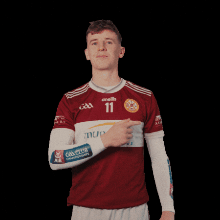 All-Ireland GIF by AIB