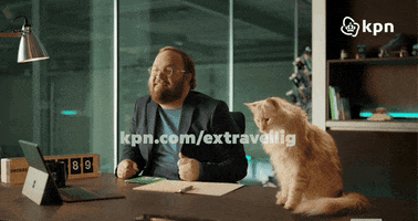 Cats Office GIF by KPN