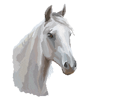 Equitana Sticker