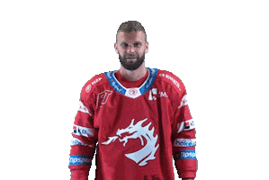 Hockey Trinec Sticker by HC Oceláři Třinec