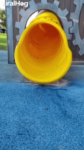 Siblings Have Different Methods Going Down Slide GIF by ViralHog