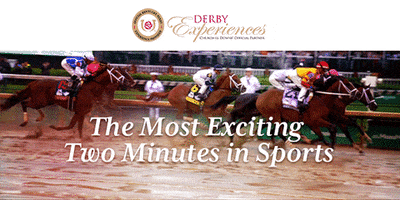 Horse Racing GIF by Derby Experiences