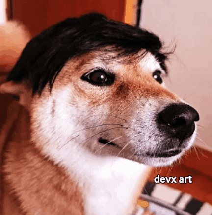Dog Hair GIF by DevX Art