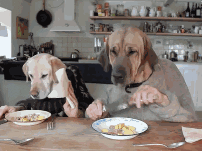 two dogs with human hands eating with fork and knife
