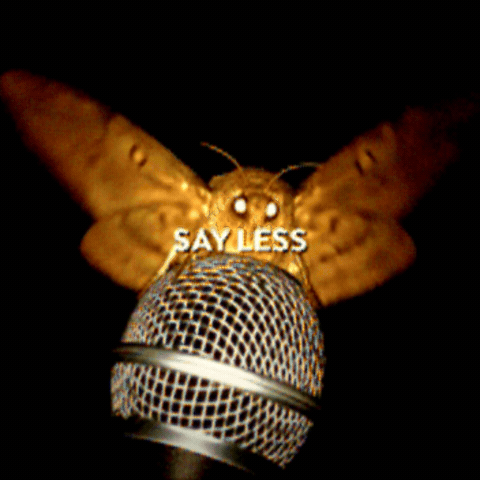 Moth Souly GIF by CUPRA_DE