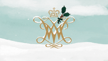 Snow Winter GIF by William & Mary