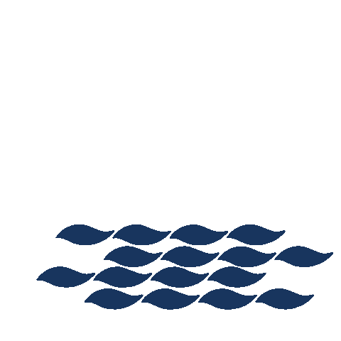 AntalyavBalıkevi Sticker