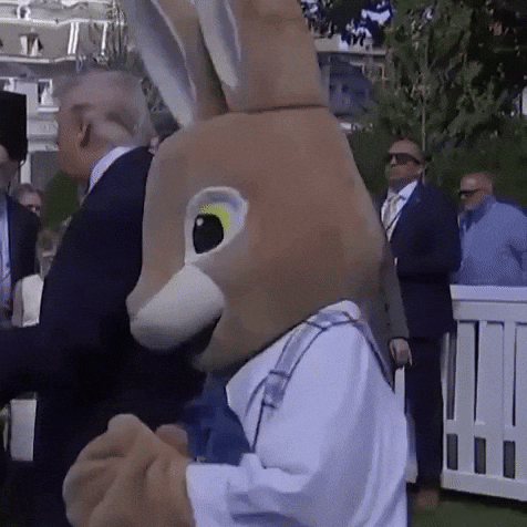 Easter Bunny Wtf GIF