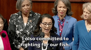 House Of Representatives Fish GIF by GIPHY News