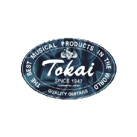 The Guitar Master Sticker