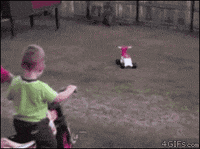 Ultimate-funny-fails GIFs - Get the best GIF on GIPHY