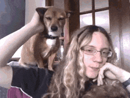 Can I Pet That Dog GIFs - Find & Share on GIPHY