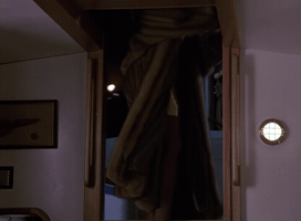 Fur GIF