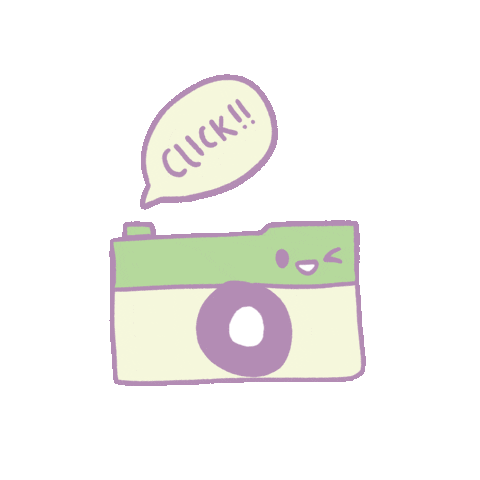 Camera Sticker