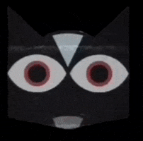 Cat GIF