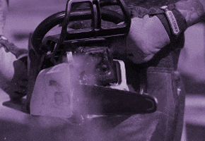 Griffon Ramsey GIFs - Find & Share on GIPHY