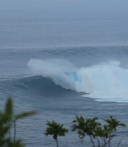 big wave surf