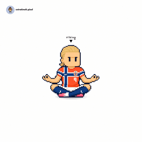 Norway Viking GIF